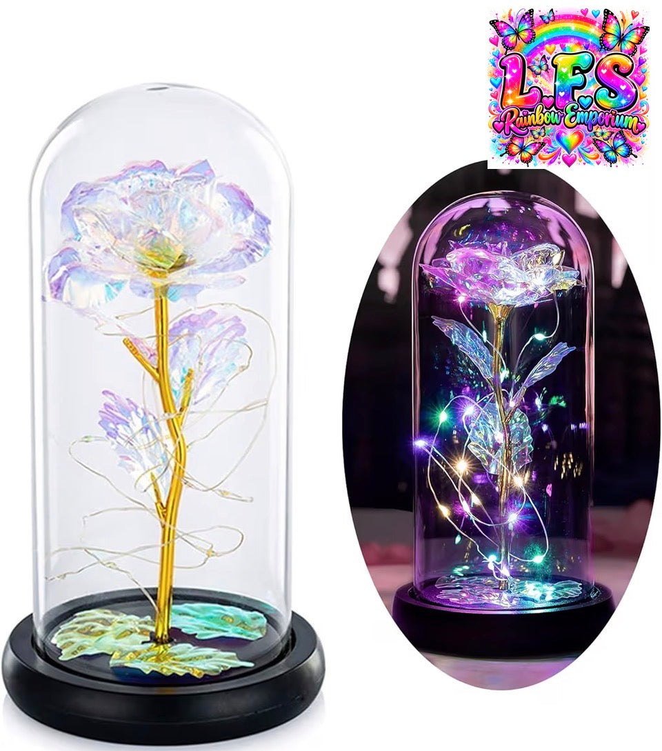 Beauty rose gift